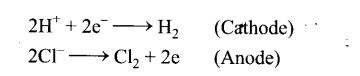 ncert-exemplar-problems-class-12-chemistry-electrochemistry-42