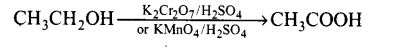 ncert-exemplar-problems-class-12-chemistry-alcohols-phenols-ethers-29