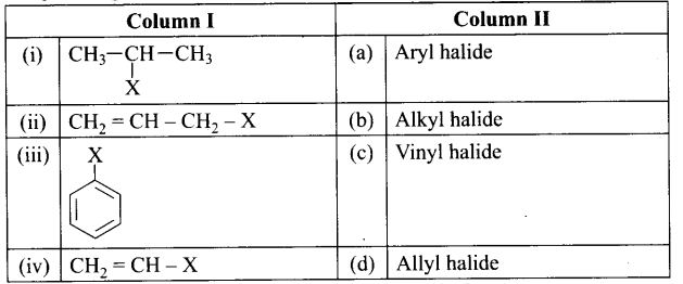 ncert-exemplar-problems-class-12-chemistry-haloalkanes-and-haloarenes-84