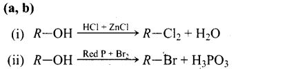ncert-exemplar-problems-class-12-chemistry-haloalkanes-and-haloarenes-45