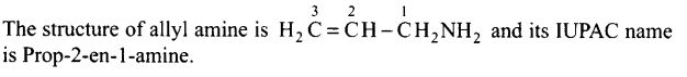 ncert-exemplar-problems-class-12-chemistry-amines-48