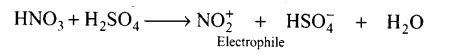 ncert-exemplar-problems-class-12-chemistry-amines-40