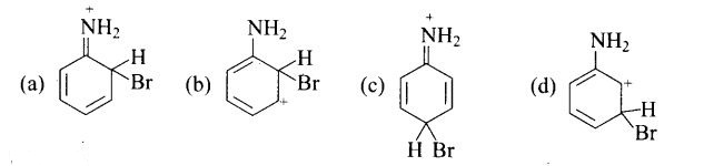 ncert-exemplar-problems-class-12-chemistry-amines-34