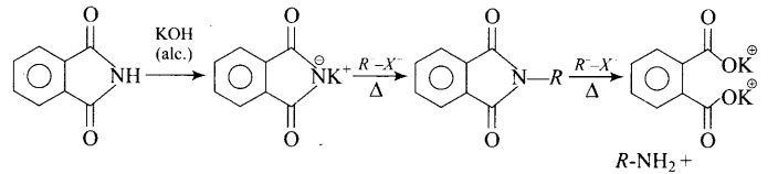 ncert-exemplar-problems-class-12-chemistry-amines-29