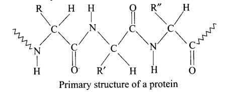 ncert-exemplar-problems-class-12-chemistry-biomolecules-45