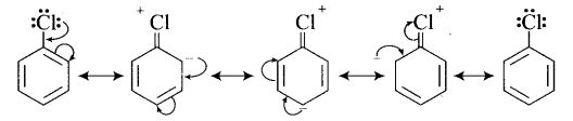 ncert-exemplar-problems-class-12-chemistry-haloalkanes-and-haloarenes-49