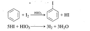 ncert-exemplar-problems-class-12-chemistry-haloalkanes-and-haloarenes-46