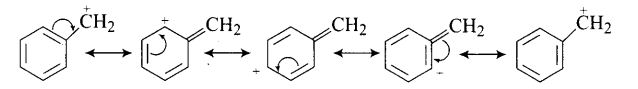 ncert-exemplar-problems-class-12-chemistry-haloalkanes-and-haloarenes-29