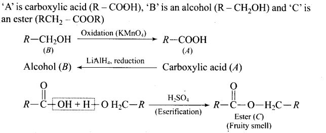 ncert-exemplar-problems-class-12-chemistry-aldehydes-ketones-and-carboxylic-acids-38