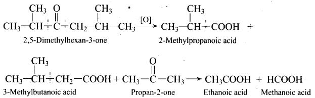 ncert-exemplar-problems-class-12-chemistry-aldehydes-ketones-and-carboxylic-acids-36