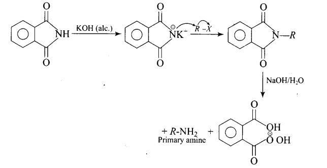 ncert-exemplar-problems-class-12-chemistry-amines-23