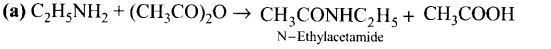ncert-exemplar-problems-class-12-chemistry-amines-20