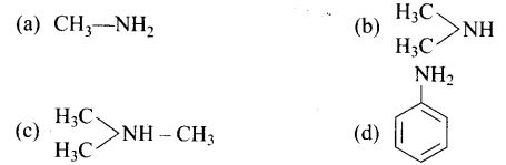 ncert-exemplar-problems-class-12-chemistry-amines-19