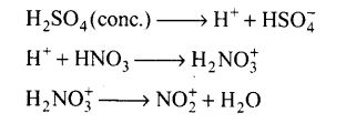 ncert-exemplar-problems-class-12-chemistry-amines-17