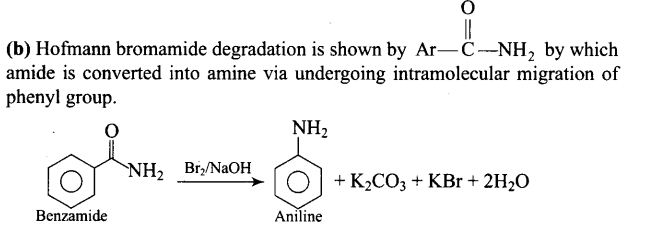 ncert-exemplar-problems-class-12-chemistry-amines-12