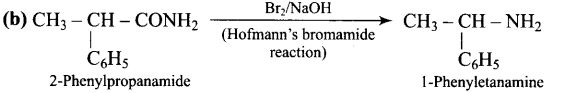 ncert-exemplar-problems-class-12-chemistry-amines-11