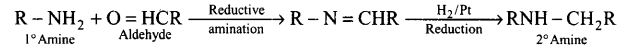 ncert-exemplar-problems-class-12-chemistry-amines-9