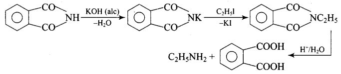 ncert-exemplar-problems-class-12-chemistry-amines-8