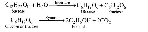 ncert-exemplar-problems-class-12-chemistry-alcohols-phenols-ethers-64