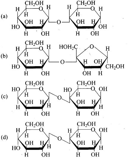 ncert-exemplar-problems-class-12-chemistry-biomolecules-5