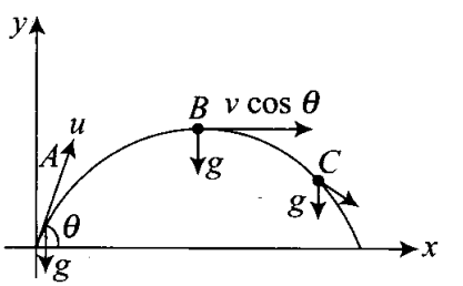 ncert-exemplar-problems-class-11-physics-chapter-3-motion-plane-44