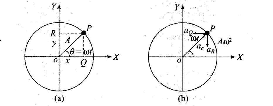 ncert-exemplar-problems-class-11-physics-chapter-13-oscillations-15