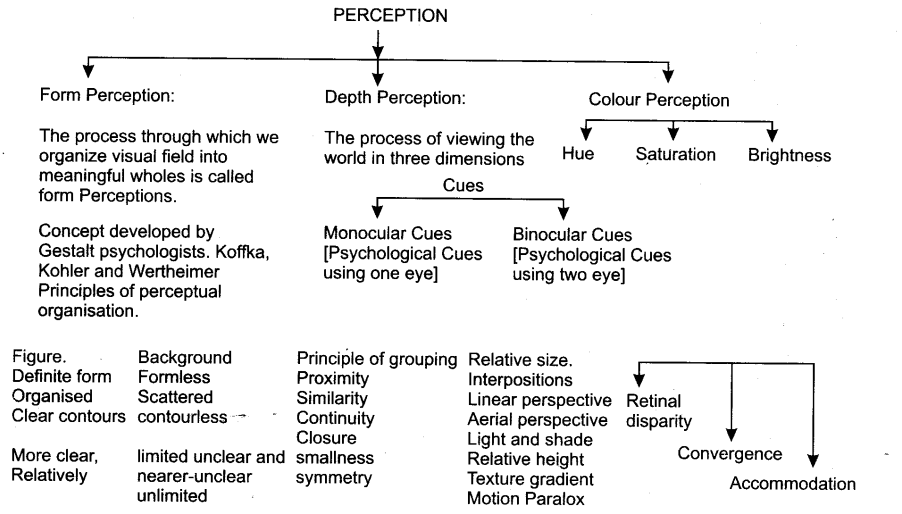 sensory-attentional-perceptual-processes-cbse-notes-class-11-psychology-4