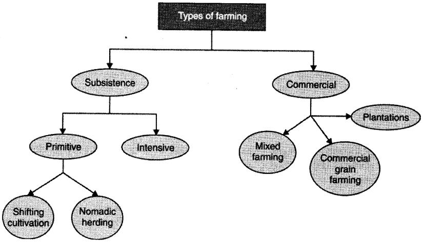 agriculture-cbse-notes-for-class-8-social-2