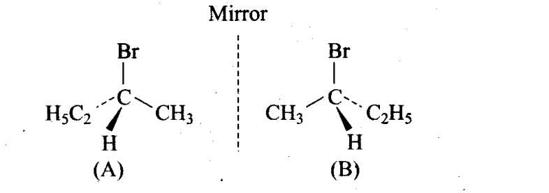 ncert-exemplar-problems-class-11-chemistry-chapter-13-hydrocarbons-6