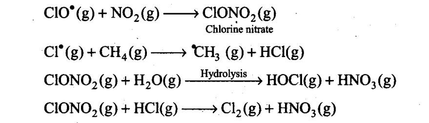 ncert-exemplar-problems-class-11-chemistry-chapter-14-environmental-chemistry-11