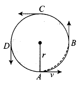 ncert-exemplar-problems-class-11-physics-chapter-3-motion-plane-39