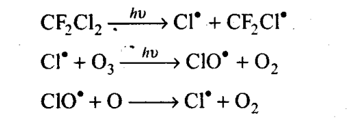 ncert-exemplar-problems-class-11-chemistry-chapter-14-environmental-chemistry-5