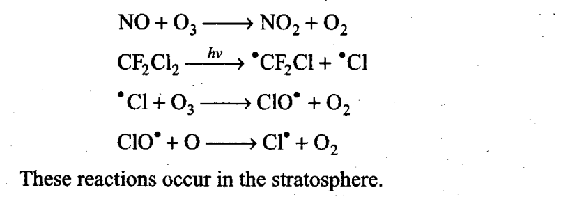 ncert-exemplar-problems-class-11-chemistry-chapter-14-environmental-chemistry-3