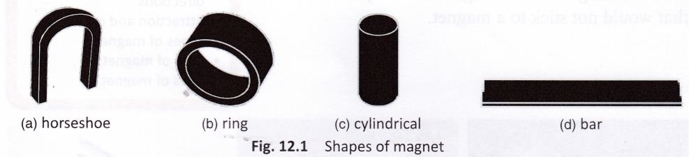 fun-magnets-cbse-notes-class-6-science-2