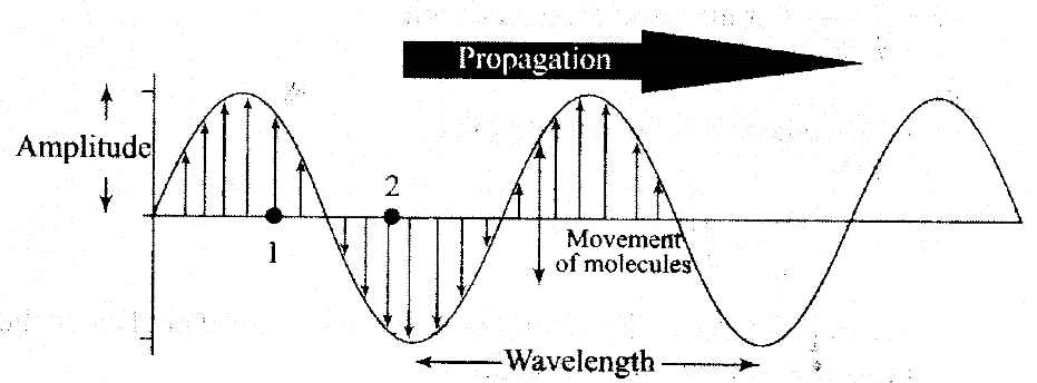 ncert-exemplar-problems-class-11-physics-chapter-14-waves-5