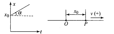 ncert-exemplar-problems-class-11-physics-chapter-2-motion-in-a-straight-line-17