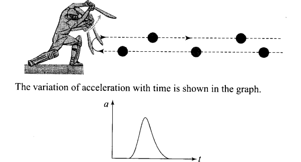 ncert-exemplar-problems-class-11-physics-chapter-2-motion-in-a-straight-line-31