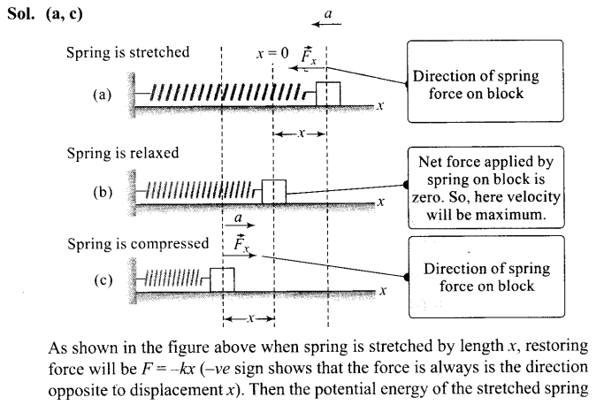 ncert-exemplar-problems-class-11-physics-chapter-2-motion-in-a-straight-line-22