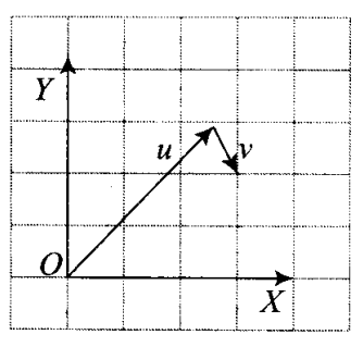 ncert-exemplar-problems-class-11-physics-chapter-3-motion-plane-13