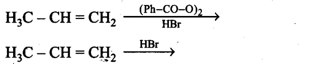 ncert-exemplar-problems-class-11-chemistry-chapter-13-hydrocarbons-42
