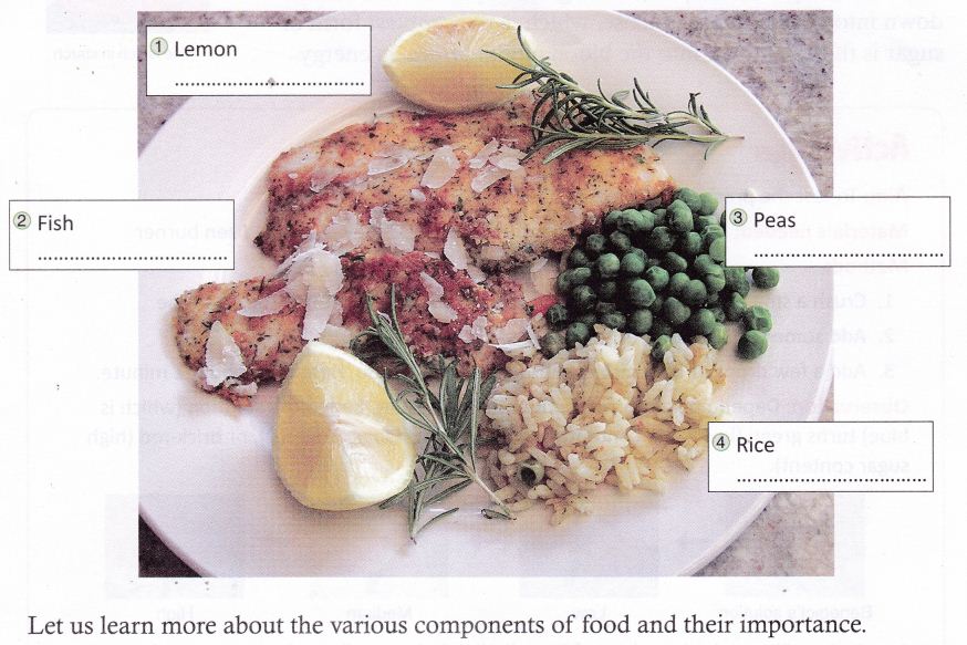 components-food-cbse-notes-class-6-science-1