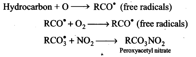 ncert-exemplar-problems-class-11-chemistry-chapter-14-environmental-chemistry-2