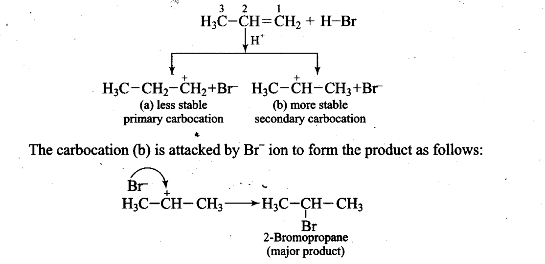 ncert-exemplar-problems-class-11-chemistry-chapter-13-hydrocarbons-43