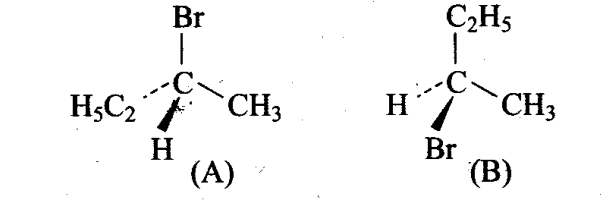 ncert-exemplar-problems-class-11-chemistry-chapter-13-hydrocarbons-4