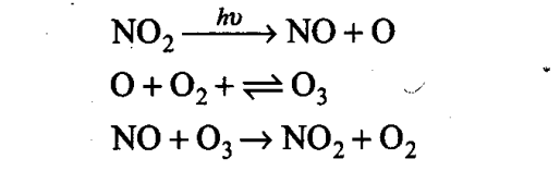 ncert-exemplar-problems-class-11-chemistry-chapter-14-environmental-chemistry-8
