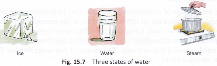 water-cbse-notes-class-6-science-5