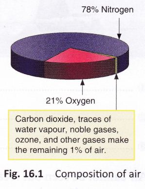 air-around-us-cbse-notes-class-6-science-1