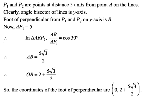 ncert-exemplar-problems-class-11-mathematics-chapter-10-straight-lines-25