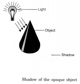Light, Shadows and Reflection Class 6 Notes Science Chapter 11 1