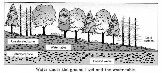 Water Class 6 Notes Science Chapter 14 4